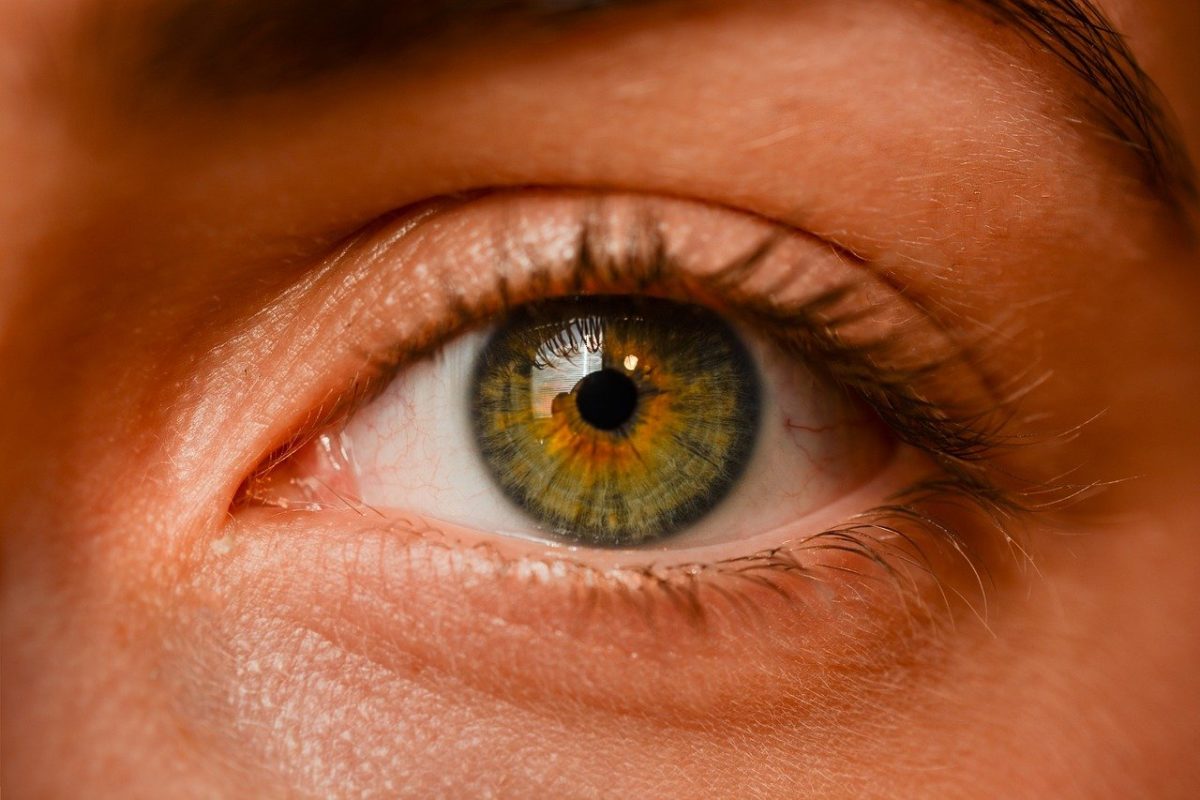 Oczy to charakterystyczny organ. To właśnie dzięki nim rozróżniamy.